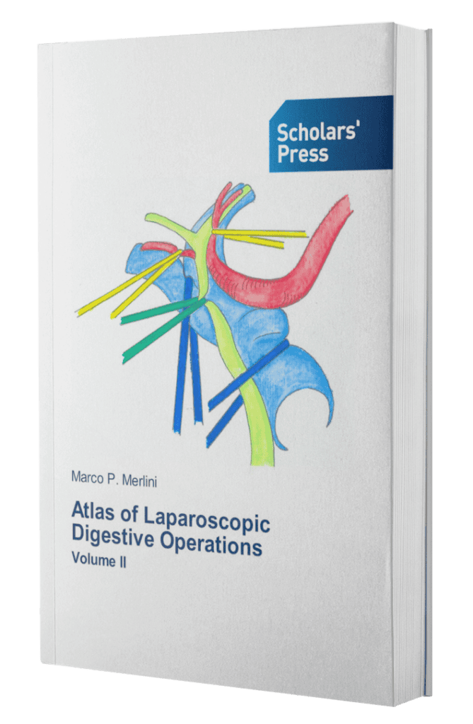 ebook mockup in an angled position over a flat backdrop a9915 27 1 669x1024 - Marco P. Merlini​