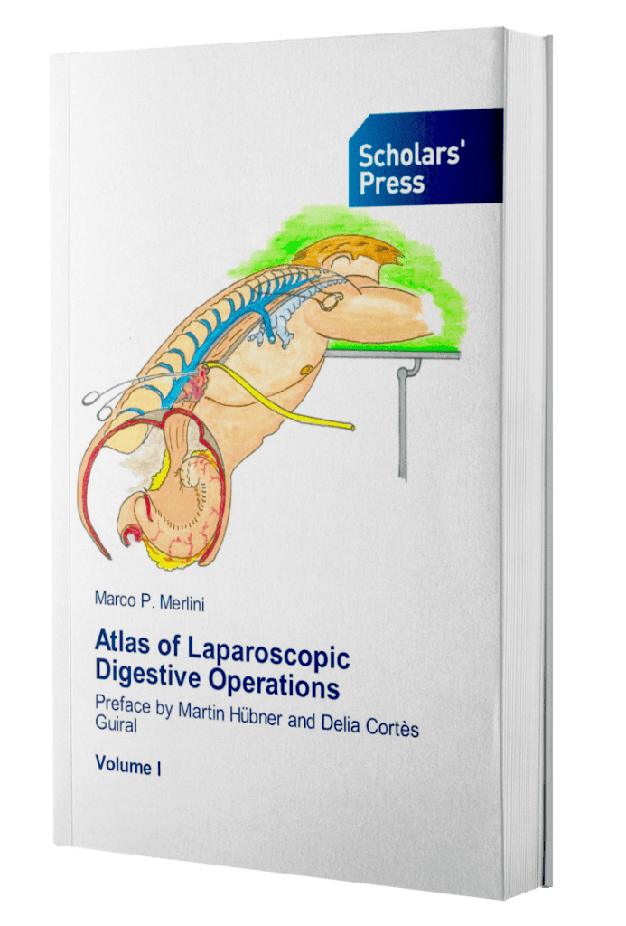 ebook mockup in an angled position over a flat backdrop a9915 28 2 693x1024 - Marco P. Merlini​