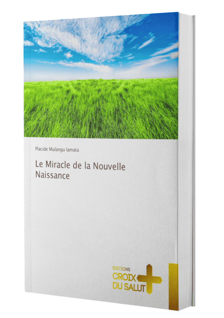 ebook mockup in an angled position over a flat backdrop a9915 31 1 723x1024 - Placide Mulangu lamata