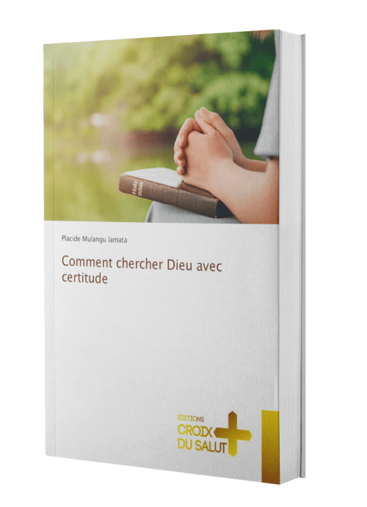 ebook mockup in an angled position over a flat backdrop a9915 32 1 741x1024 - Placide Mulangu lamata