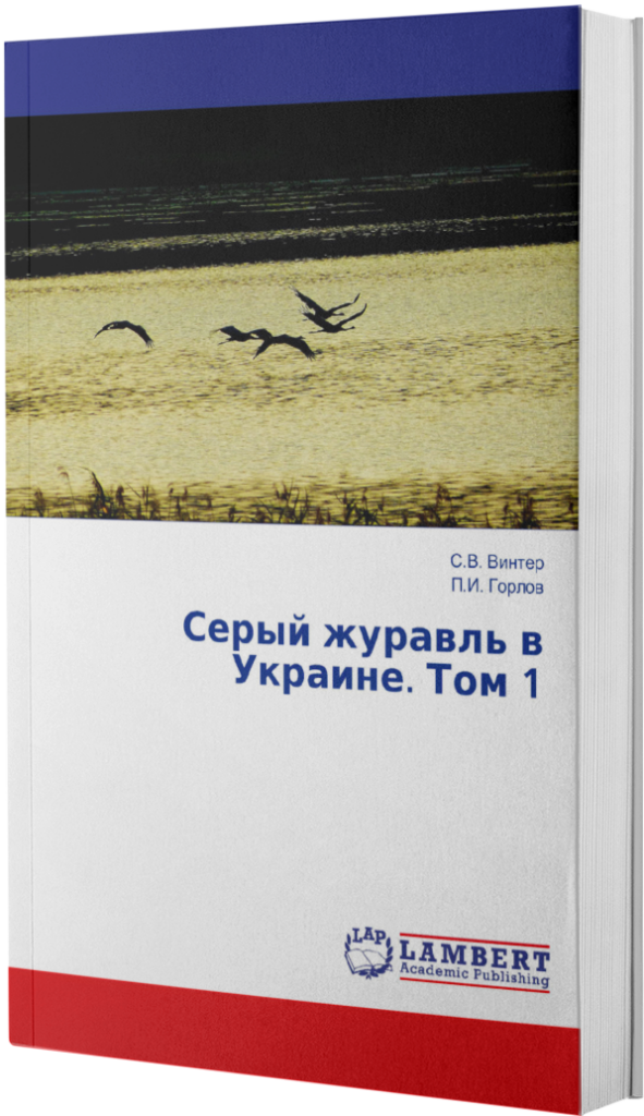 ebook mockup in an angled position over a flat backdrop a9915 62 1 e1741179185566 591x1024 - SergeyWinter-Petro Gorlov