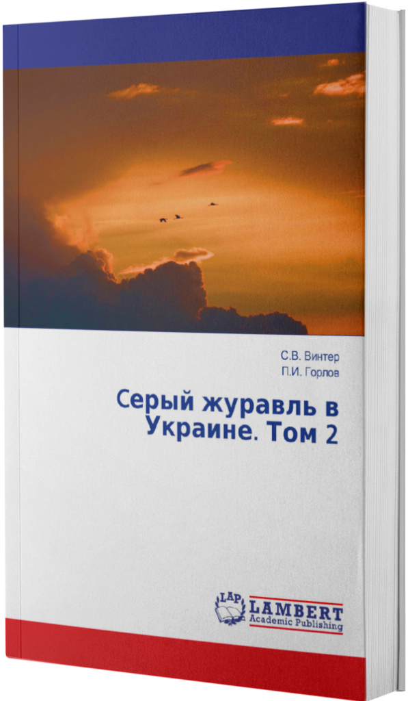 ebook mockup in an angled position over a flat backdrop a9915 63 1 e1741179149922 597x1024 - SergeyWinter-Petro Gorlov