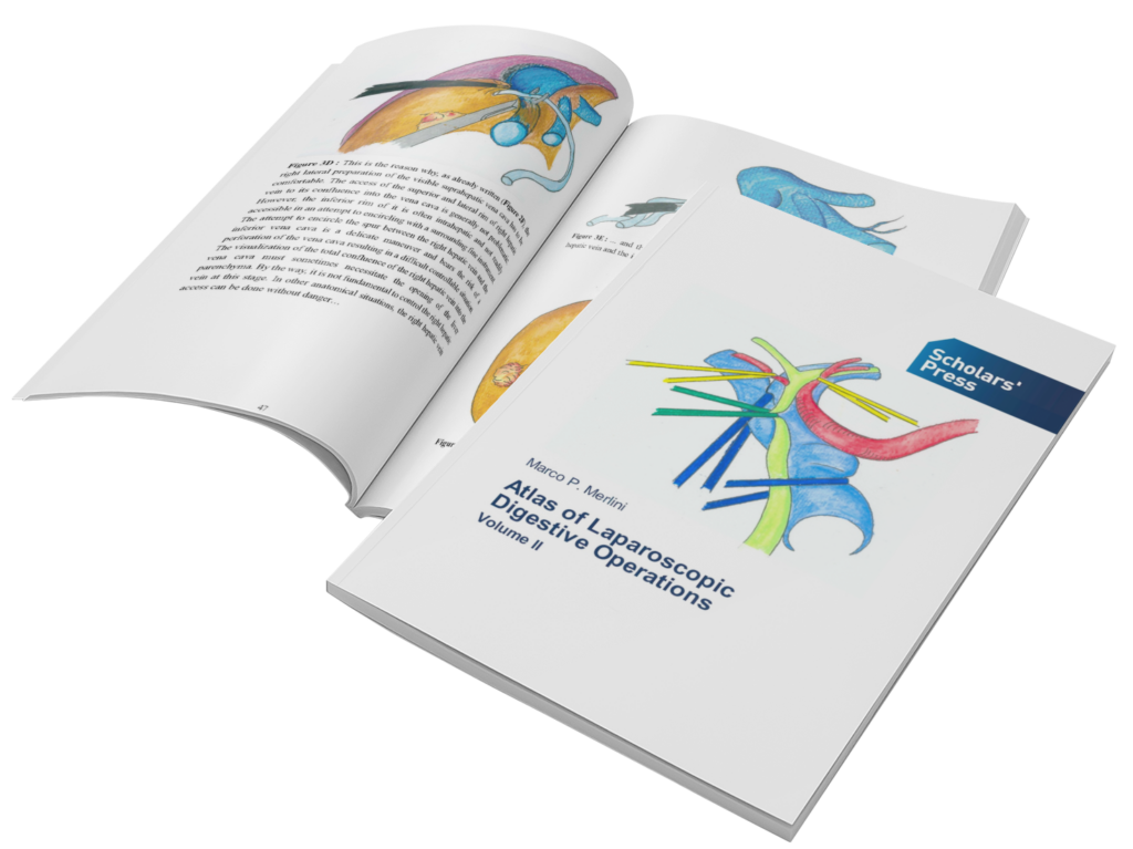 mockup featuring an open magazine lying under a closed one 3392 el1 2 e1720602173546 1024x767 - Marco P. Merlini​