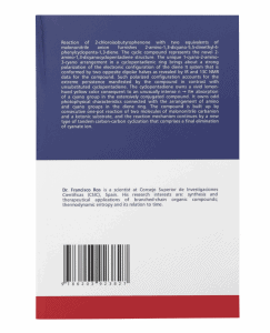 mockup of a paperback book in a plain setting 33643 1 e1640248883557 243x300 - Francisco Ros