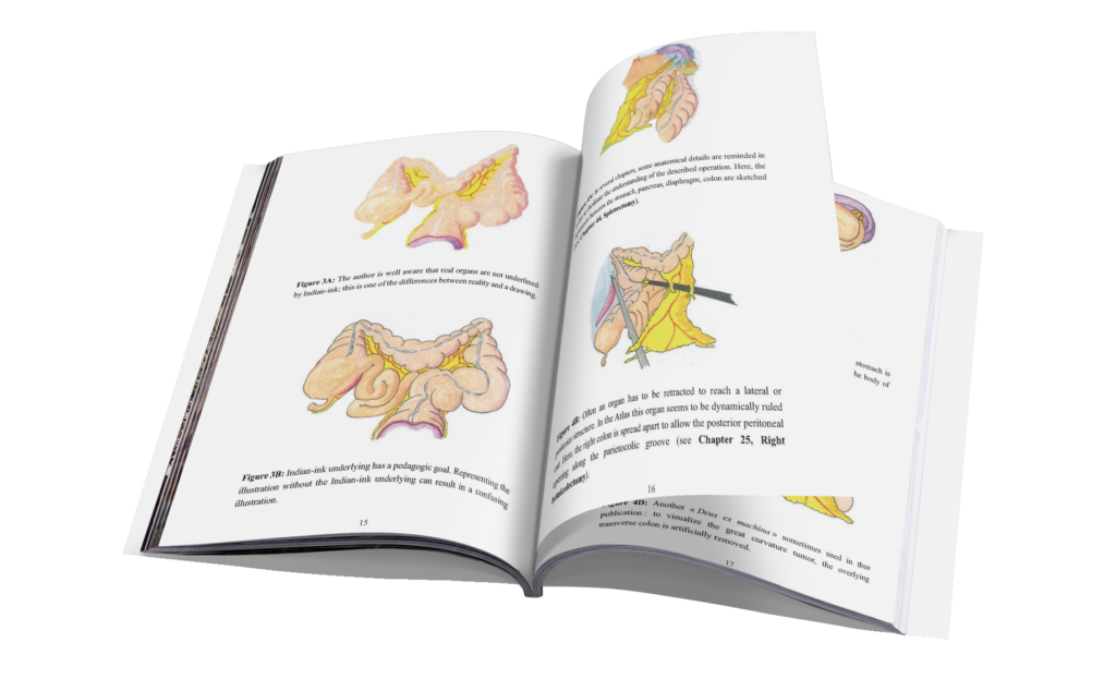 open magazine mockup featuring a colored background 1090 el e1720602309919 1024x634 - Marco P. Merlini​